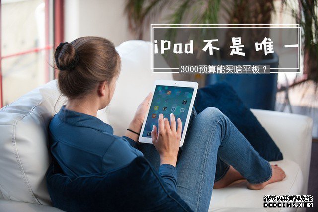 iPad不是獨(dú)一 3000元預(yù)算能買(mǎi)啥平板？