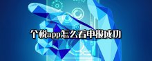 個稅app怎么看申報成功