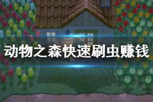 《集合啦動物森友會》怎么快速刷錢？快速刷蟲賺錢技巧