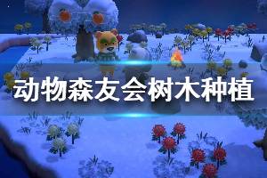 《集合啦動物森友會》樹木種植機制講解 樹木怎么種植