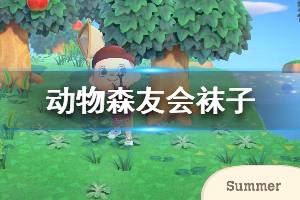 《集合啦動物森友會》襪子有哪些 全襪子售價說明