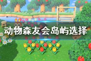 《集合啦動物森友會》新手開局島嶼選擇介紹 開局怎么選島嶼