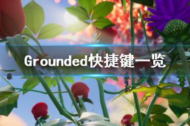 《Grounded》快捷鍵有哪些 快捷鍵一覽