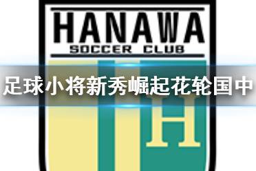 《足球小將新秀崛起》花輪國中人物介紹 花輪國中有什么球員