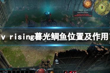 《吸血鬼崛起》v rising暮光鯛魚有什么用？v rising暮光鯛魚位置及作用