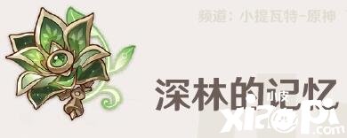 《原神》深林的影象怎么樣？深林的影象屬性