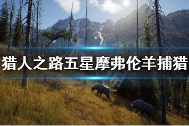 《獵人之路》五星摩弗倫羊怎么抓？五星摩弗倫羊捕獵方法介紹