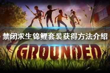 修復(fù)材料為1個大葉藻條、1個錦鯉鱗片